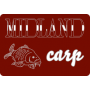 Midland Carp